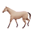 Horse Browser Thumbnail/Logo